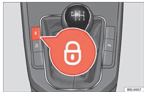 Fig. 118 Botão do fecho centralizado.