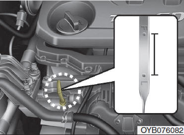 Motor a gasolina (Kappa 1,0L T-GDI)