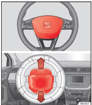 Fig. 17 Airbag do condutor no volante.